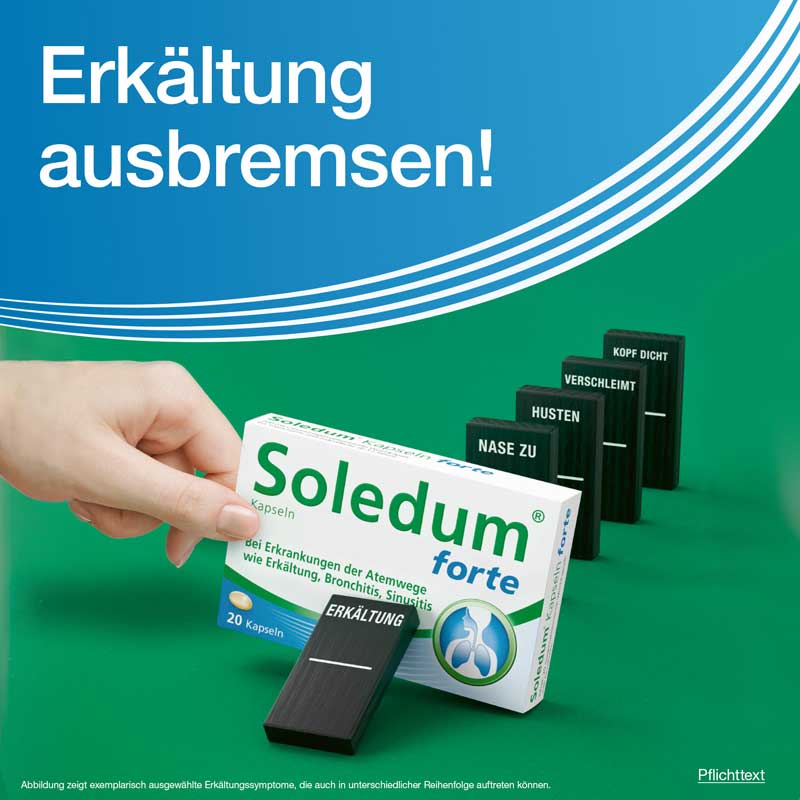 Soledum forte 100 St Kapseln magensaftresistent