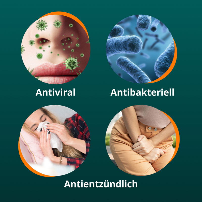 ANGOCIN Anti-Infekt N 540 St Filmtabletten