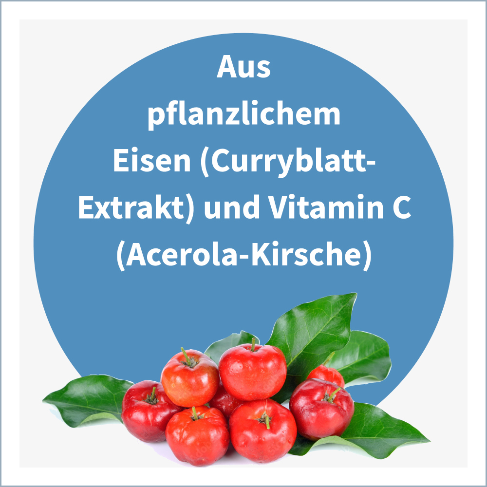 NatuGena Eisen Vegan  90 St Kapseln