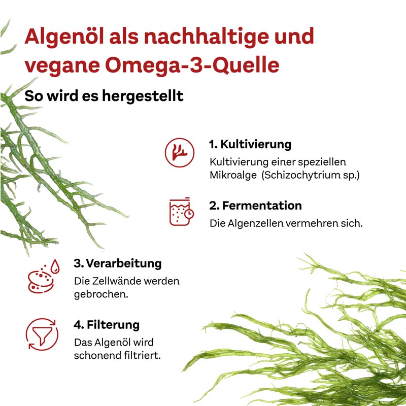 Doppelherz system OMEGA-3 PFLANZLICH 120 St Kapseln