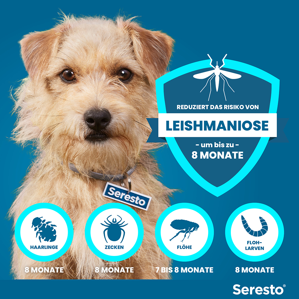 SERESTO 1.25+0.56 HUND BIS 8KG 1 St Halsband
