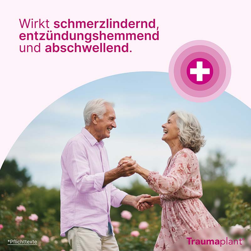 Traumaplant Schmerzcreme 100 g Creme