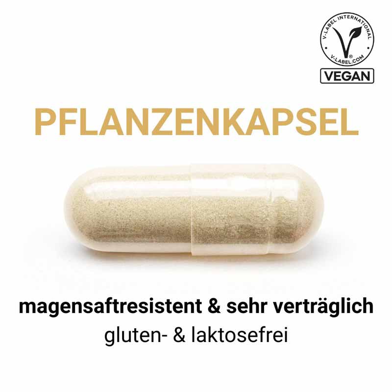 SwissOvit HarmonybiOtic 20 Mrd. Bakterien 30 St Kapseln magensaftresistent