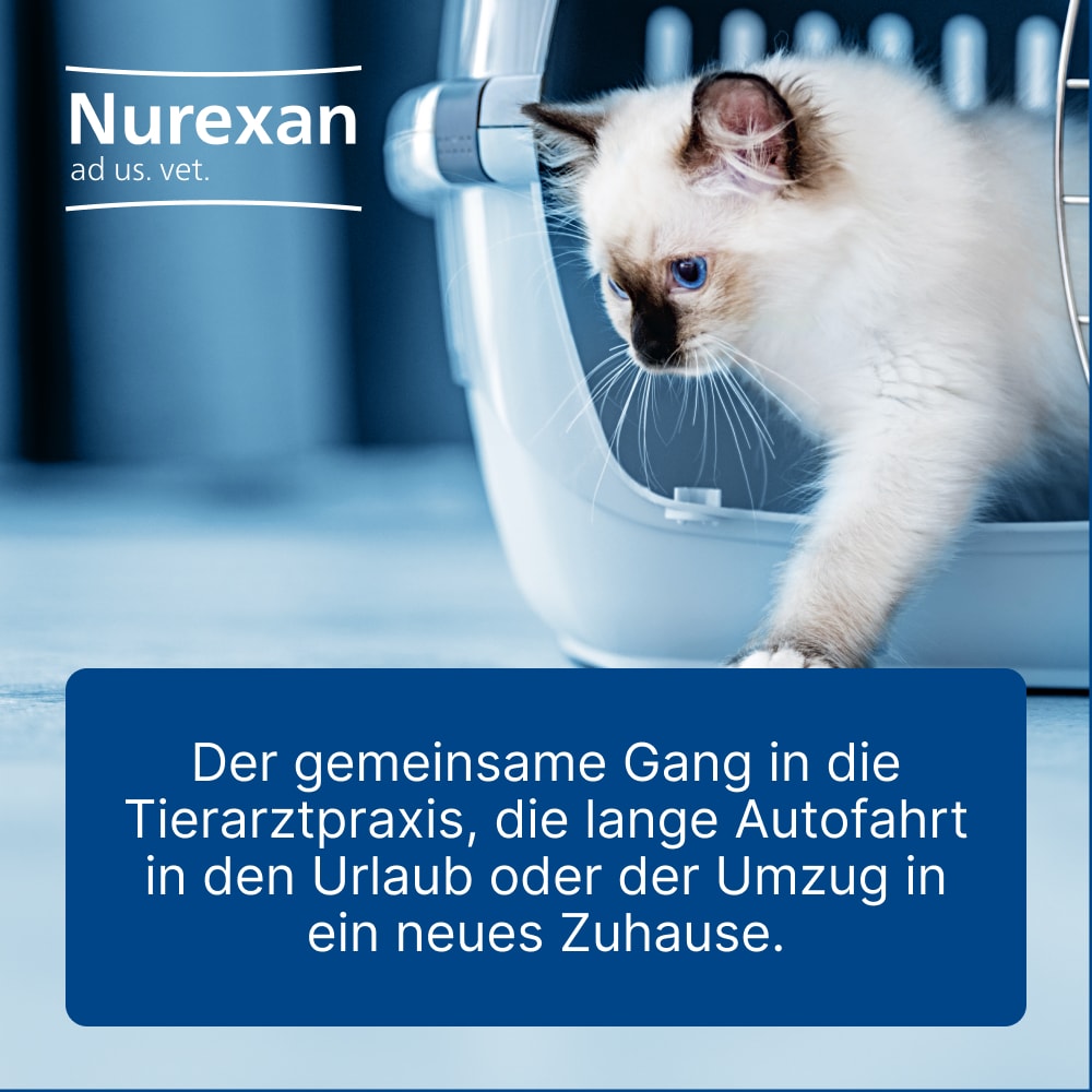Nurexan ad us. vet. Für Hunde und Katzen 500 St Tabletten