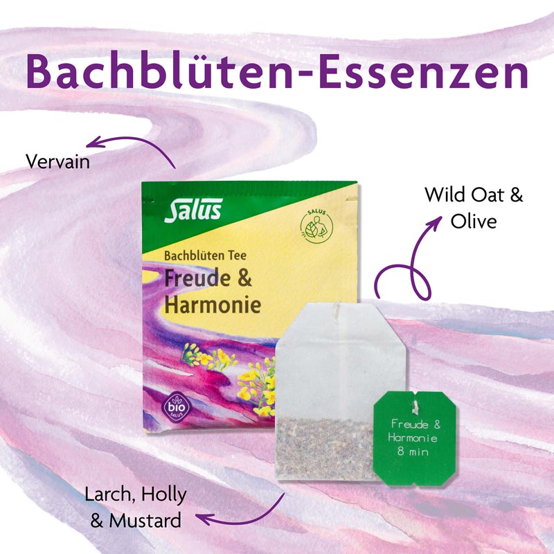 Salus Bachblüten Tee Freude & Harmonie 15 St Filterbeutel