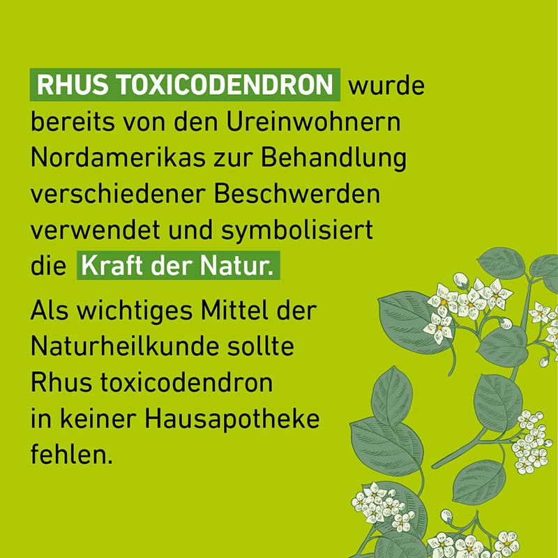 RHUS TOXICODENDRON D6 Globuli Pflüger 10 g Globuli