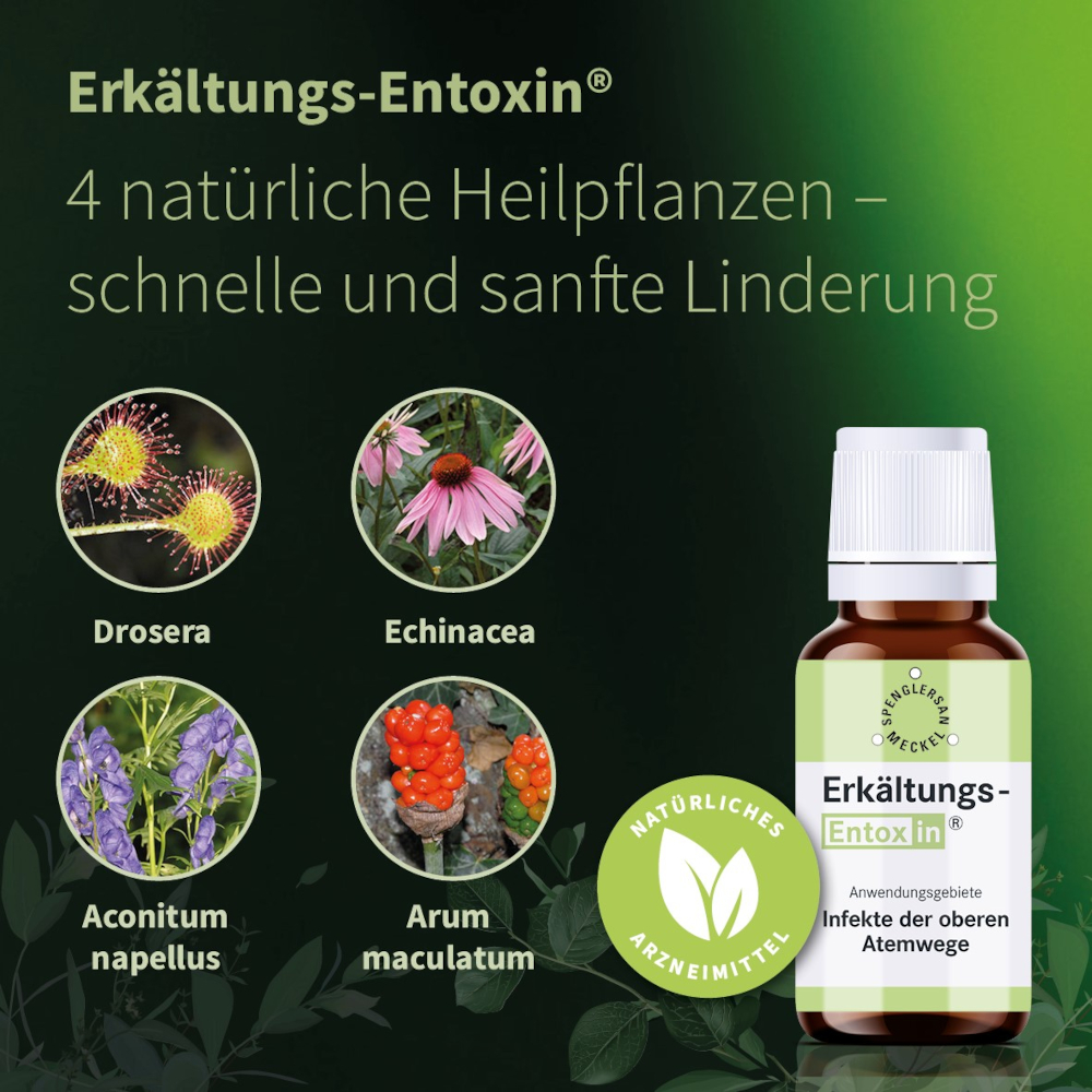ERKÄLTUNGS ENTOXIN Tropfen 20 ml Tropfen
