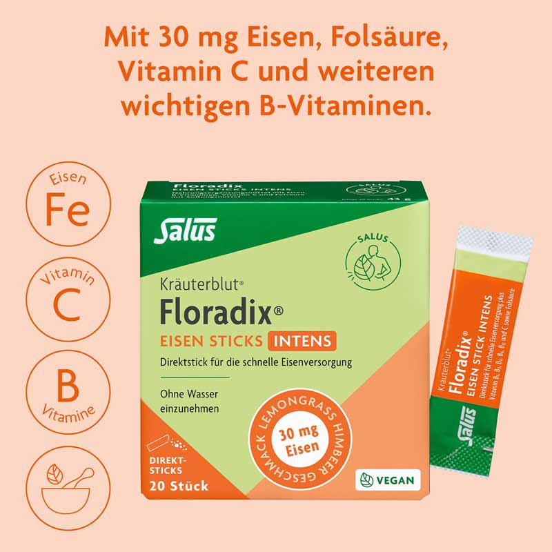 Floradix EISEN STICKS INTENS 20 St Pulver