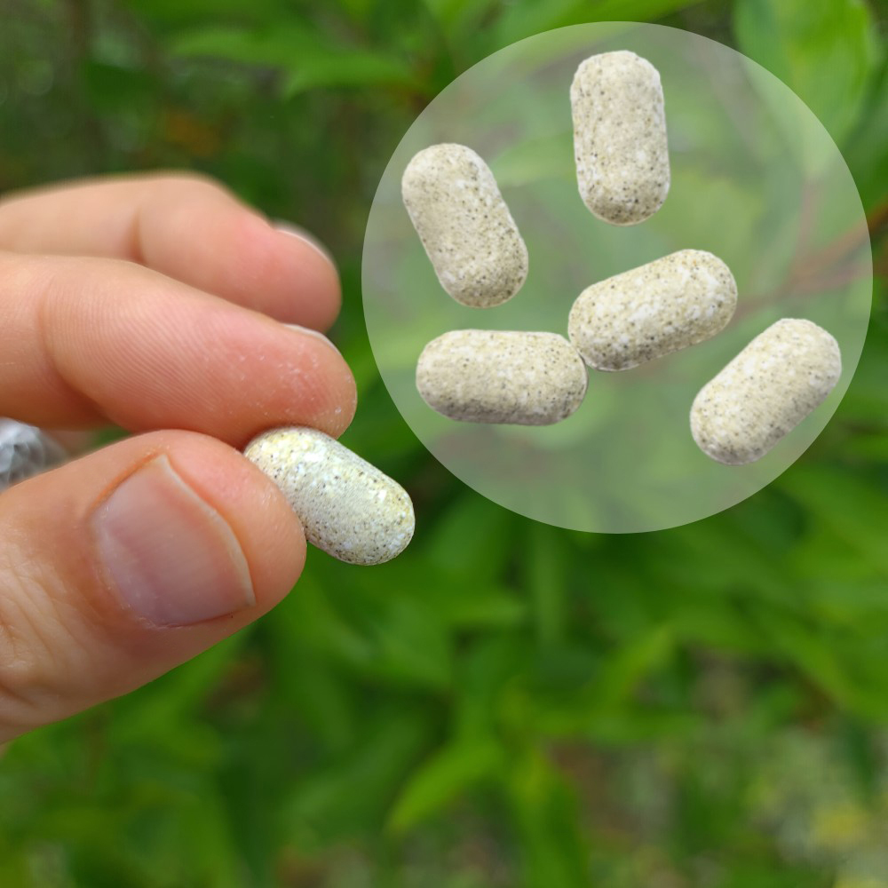 Dr. Jacob's Melissen-Basentabletten B-Vitamine Mineralstoffe