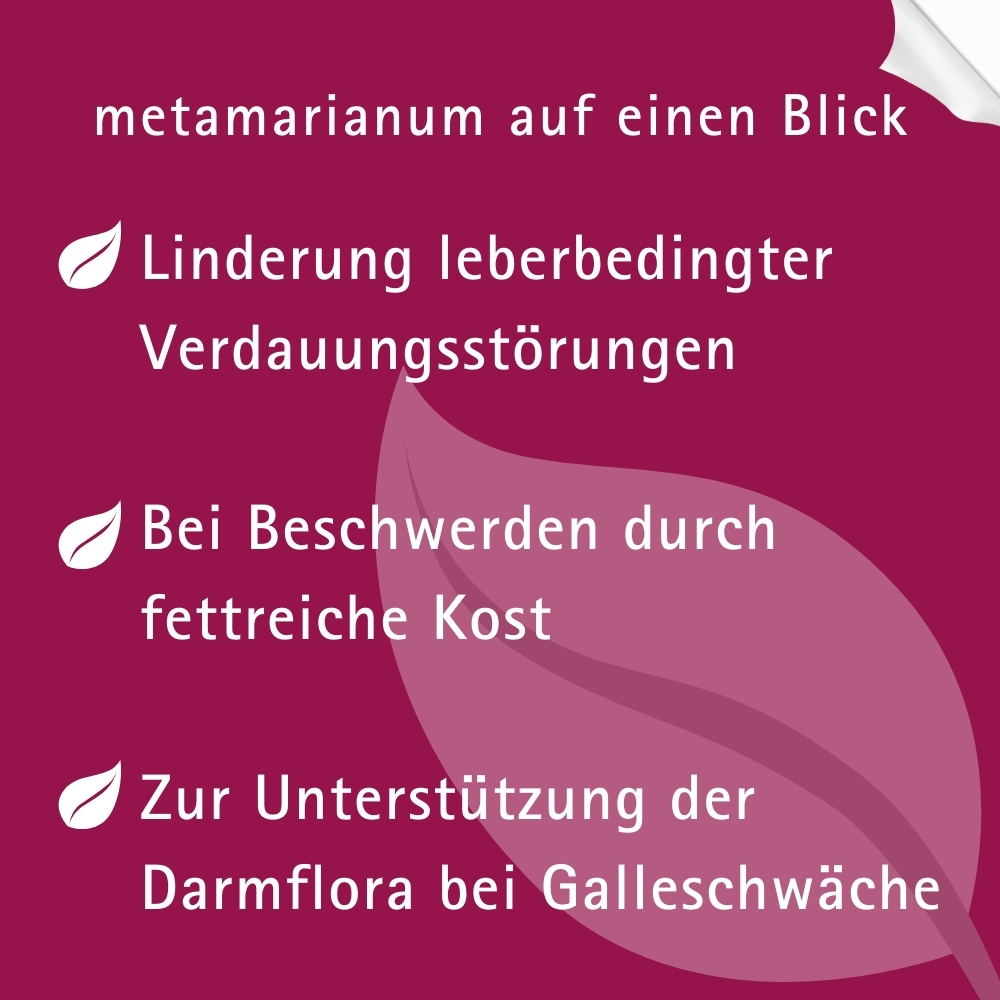 metamarianum Leberglobuli 10 g Globuli