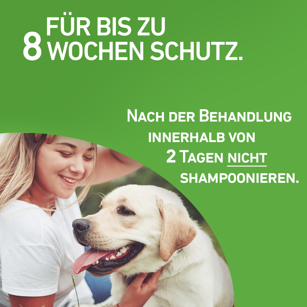 FRONTLINE COMBO gegen Zecken, Flöhe (Flöhe, Eier, Larven, Puppen) für Hunde M (10-20 Kg) 3 St Lösung