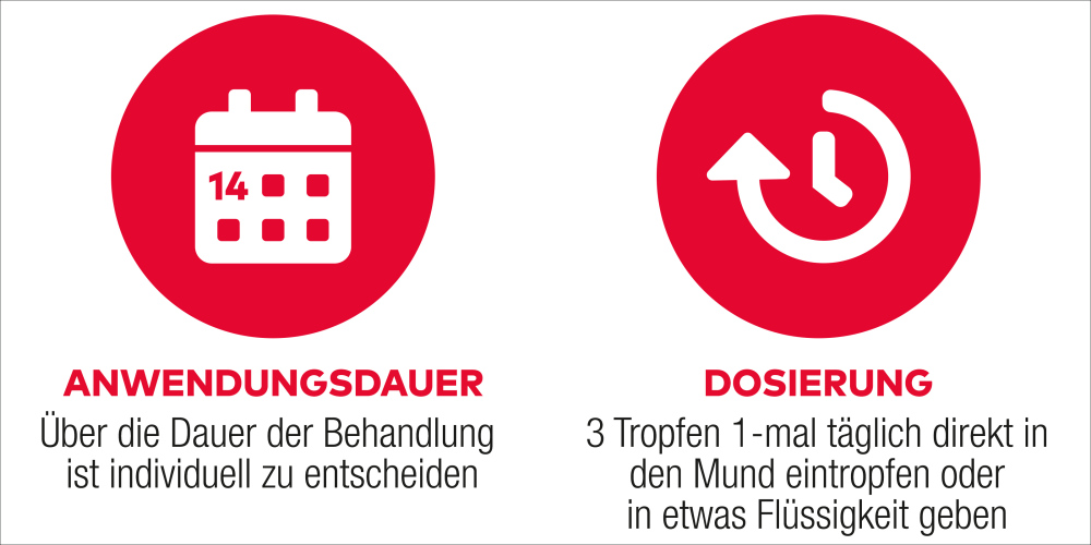 D3+K2 VitAL Tropfen 11.5 ml Tropfen