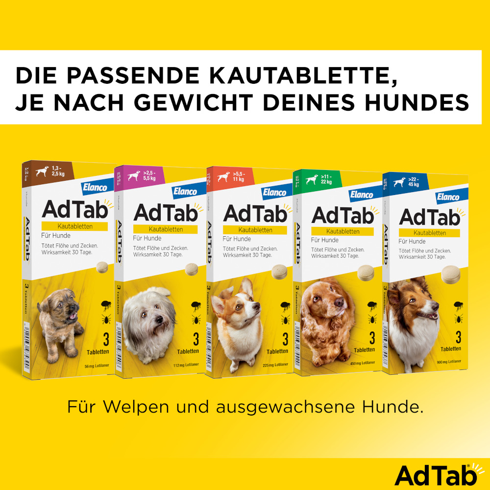 ADTAB 112MG HUND 2.5-5.5KG 3 St Kautabletten
