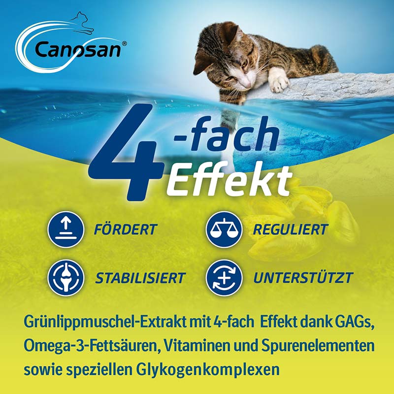 Canosan - Zur Unterstützung der Gelenke & des Bindegewebes für Katzen mit Grünlippmuschel-Extrakt Gonex 30 St Kautabletten