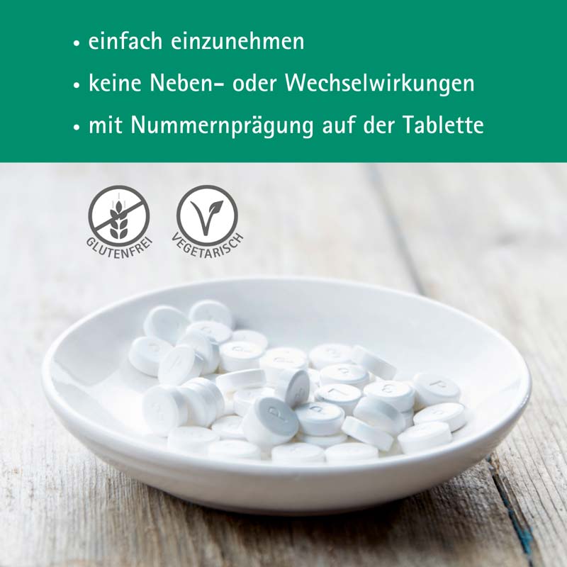 Schüßler-Salz Nr. 9 Natrium phosphoricum D6 100 St Tabletten