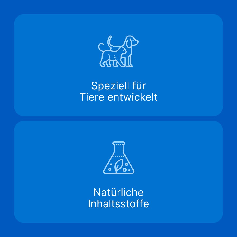 Traumeel LT ad us. vet. 250 St Tabletten