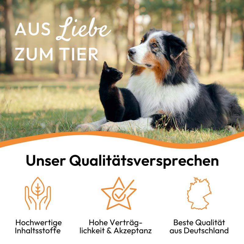 PHA NierenActiv Tropfen für Hunde und Katzen 30 ml Tropfen