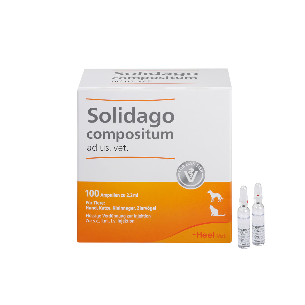 Solidago compositum ad us. vet. Ampullen 100 St Ampullen