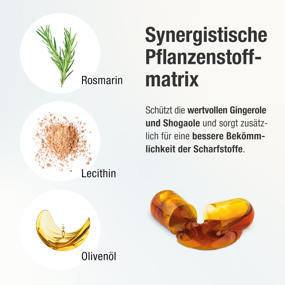 GINGERIN PLUS 60 St Kapseln