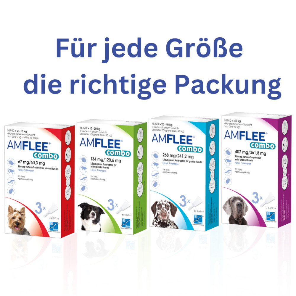 Amflee combo 67mg Lösung zum Auftropfen für kleine Hunde 2-10 kg 3 St Lösung