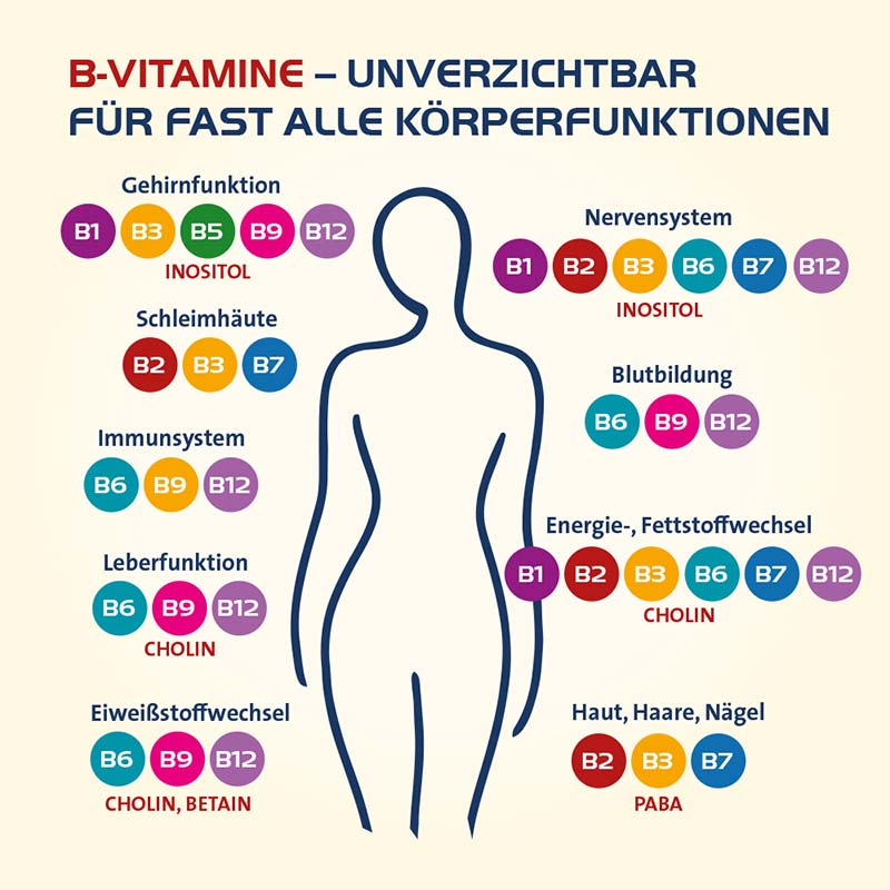 VITAMIN B COMPLETE HEVERT ALL-IN-ONE 60 St Kapseln