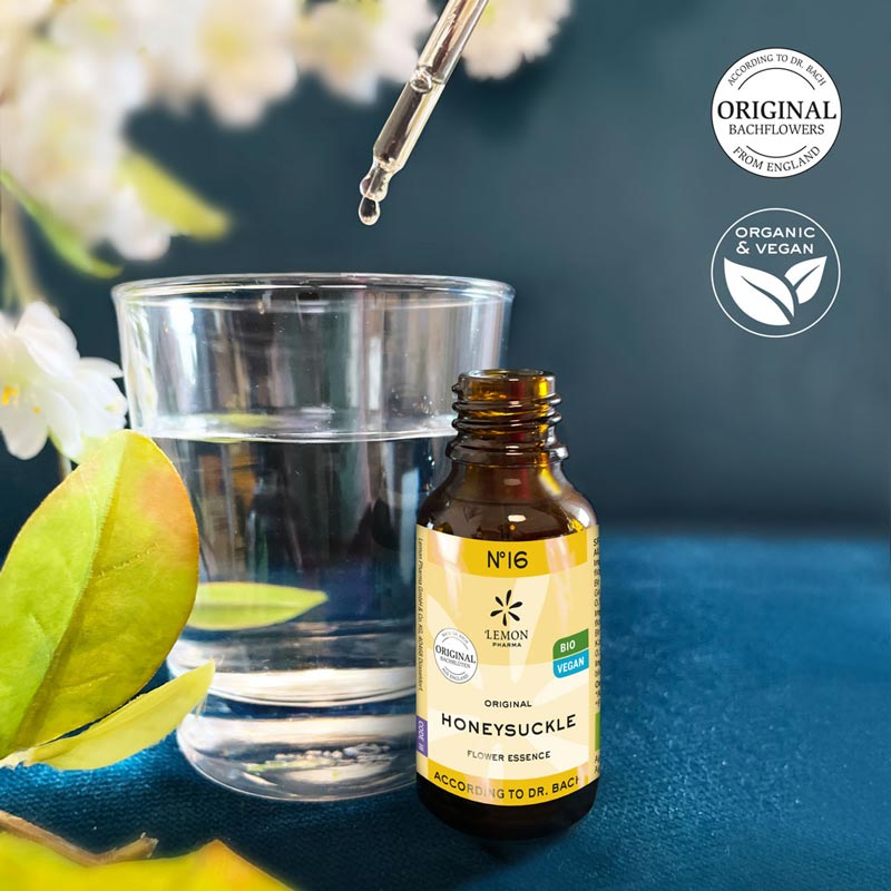 Bachblüten No.16 Honeysuckle Bio  20 ml