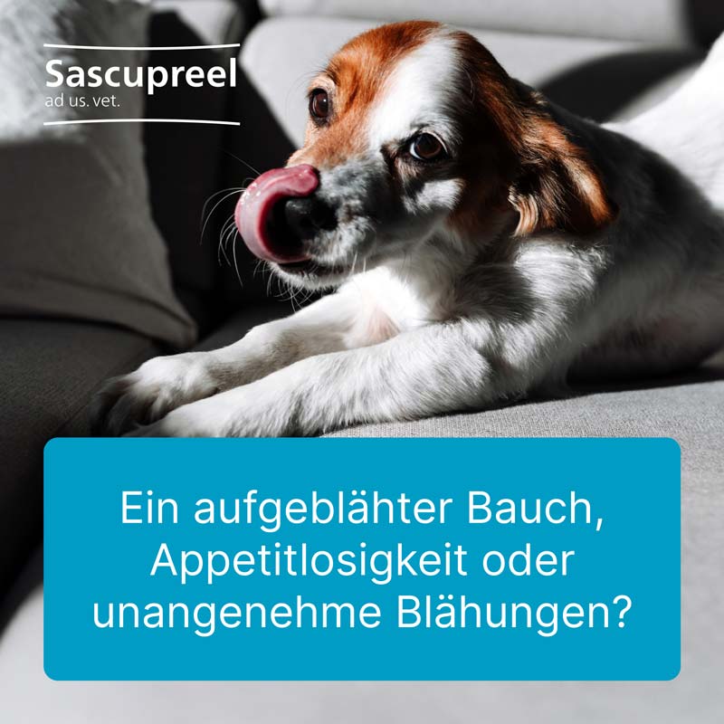 Sascupreel ad us. vet 50X5 ml Ampullen