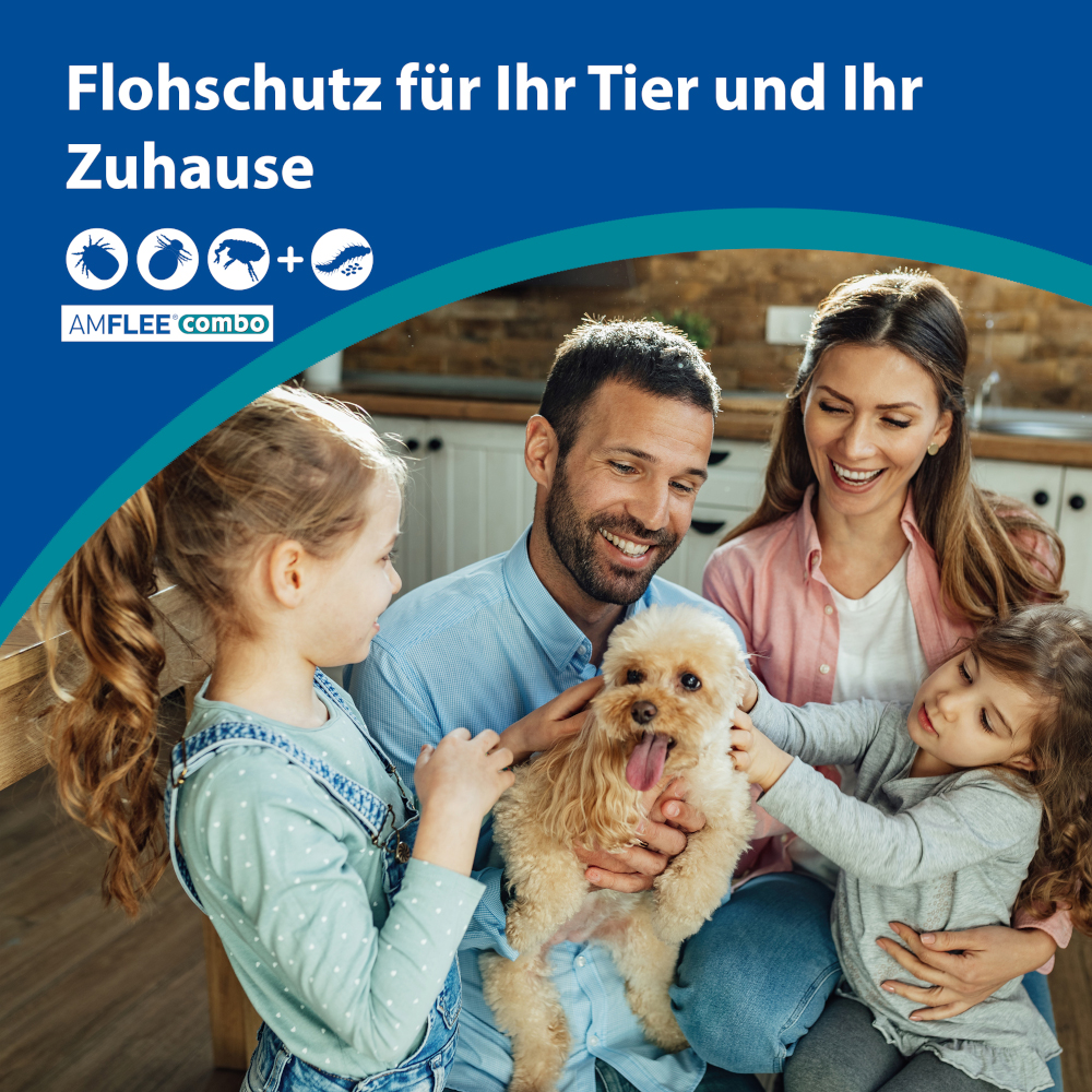 AMFLEE combo Hunde +40kg 3 St Lösung