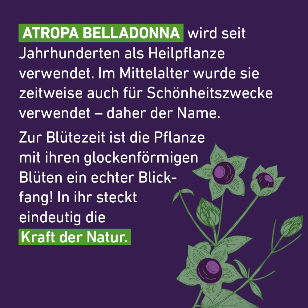 Belladonna D12 Globuli Pflüger 10 g Globuli