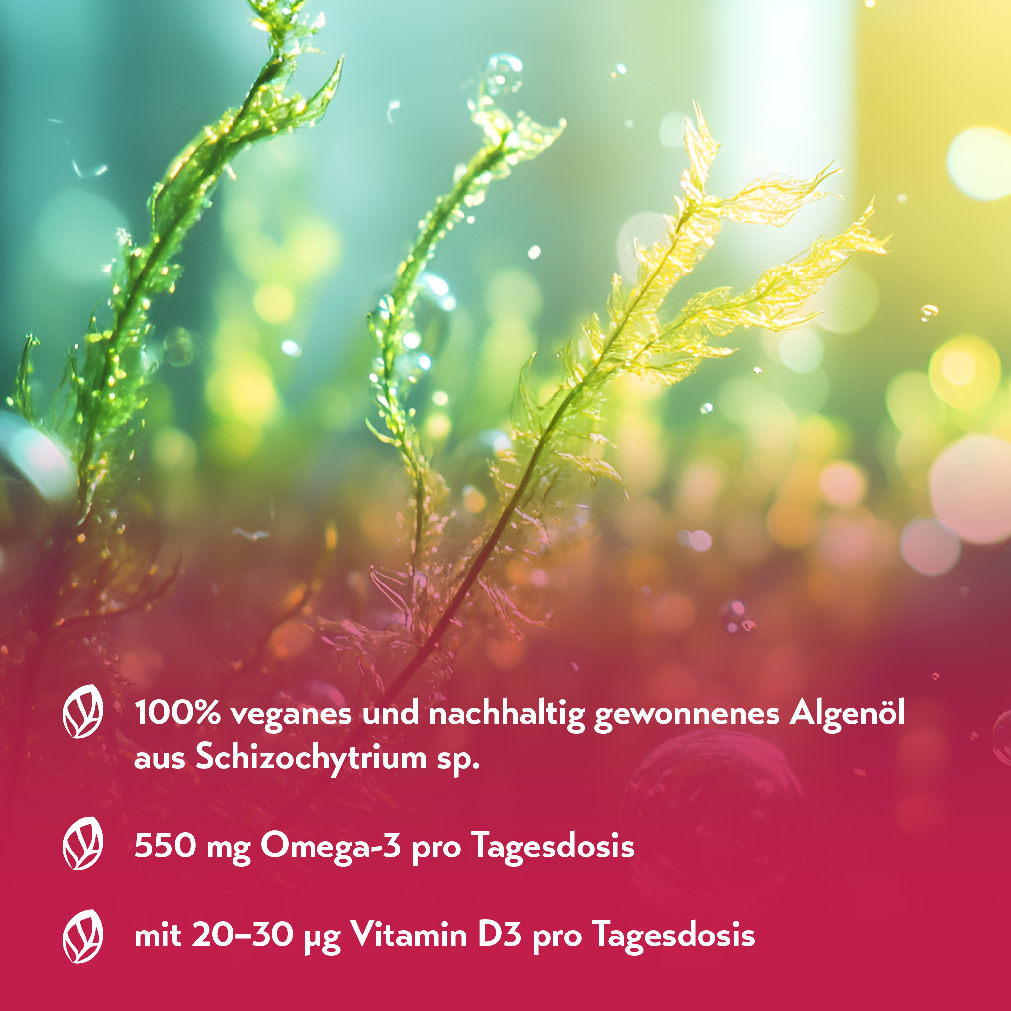 pureSGP OMEGA-3 ÖL 100 ml Tropfen
