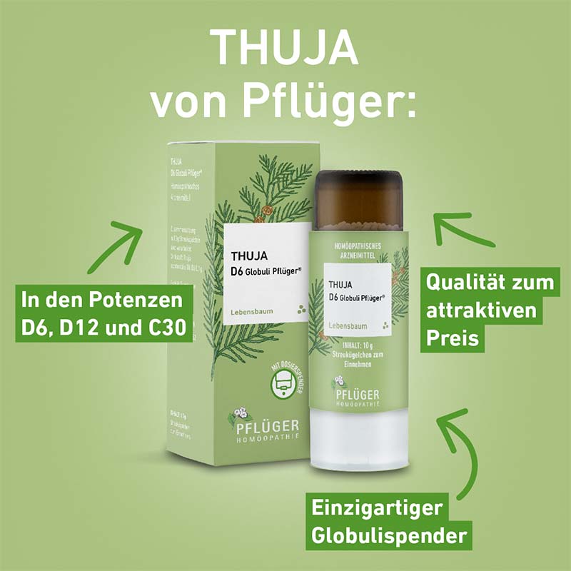 Thuja D12 Globuli Pflüger 10 g Globuli