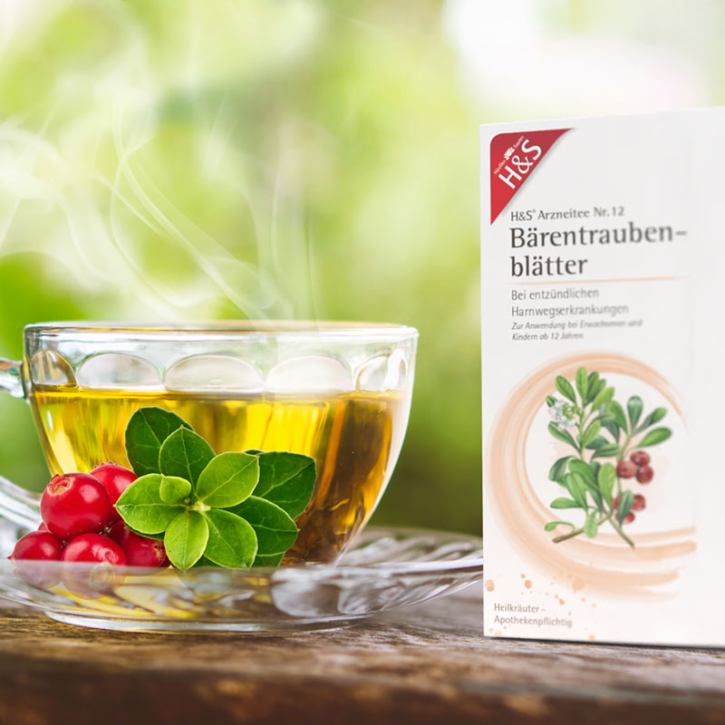 H&S Arzneitee Bärentraubenblätter 20X2.7 g Filterbeutel