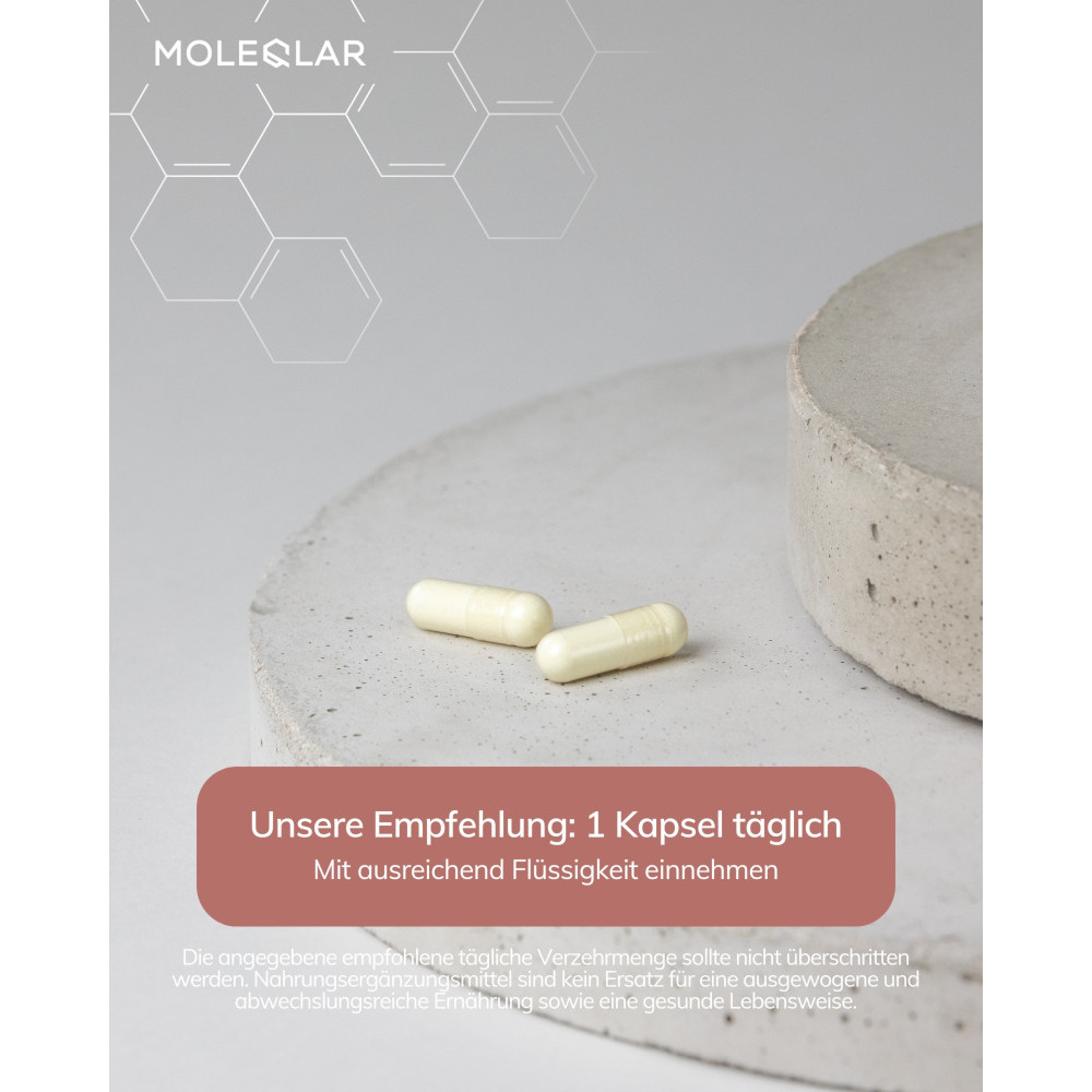 MOLEQLAR RESVERATROL 60 St Kapseln
