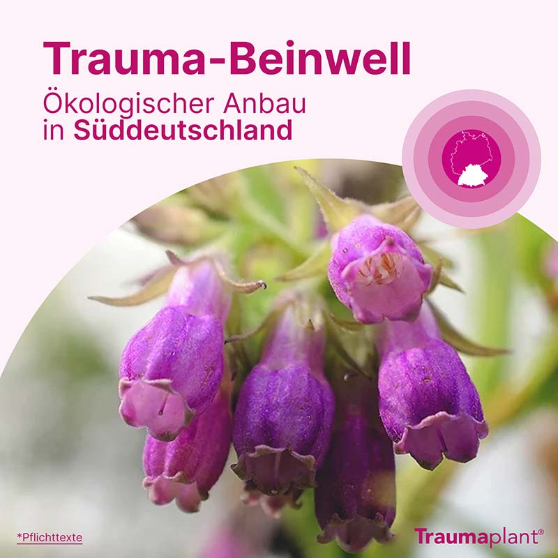 Traumaplant Schmerzcreme 150 g Creme
