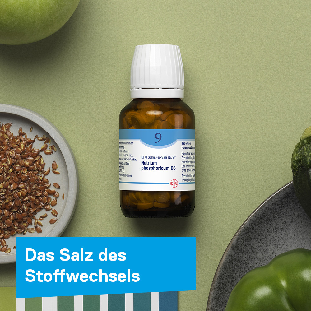 DHU Schüßler-Salz Nr. 9 Natrium phosphoricum D12 200 St Tabletten