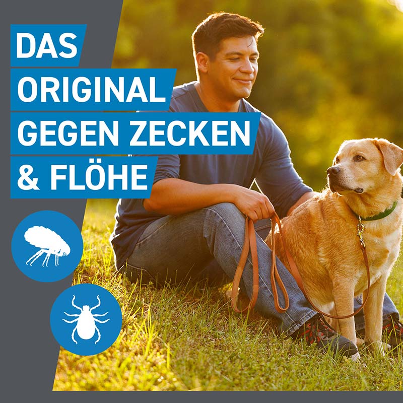 FRONTLINE SPOT-ON für Hunde L (20-40 kg) gegen Zecken, Flöhe und Haarlinge 6 St Lösung