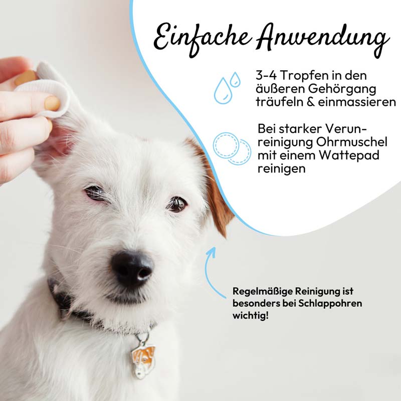 PHA OhrenPflege Tropfen für Hunde 100 ml Tropfen