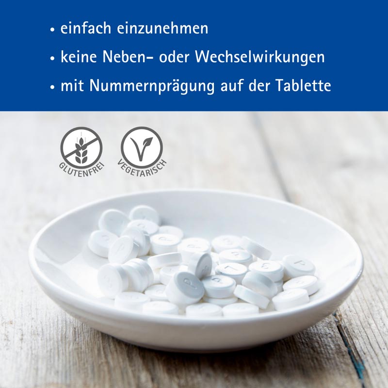 Schüßler-Salz Nr. 2 Calcium phosphoricum D6 400 St Tabletten