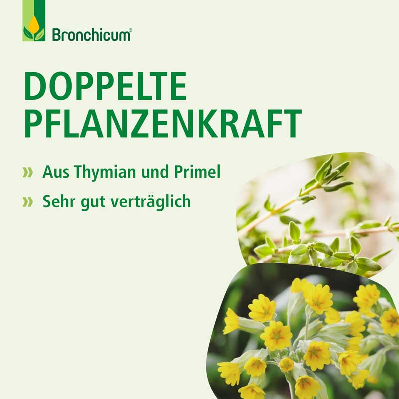 Bronchicum Tropfen 50 ml Tropfen
