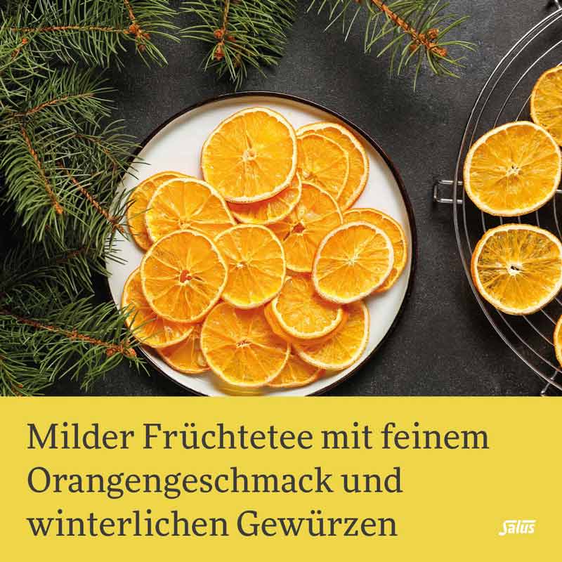 Salus Wintertee Schneekönigin 15 St Filterbeutel