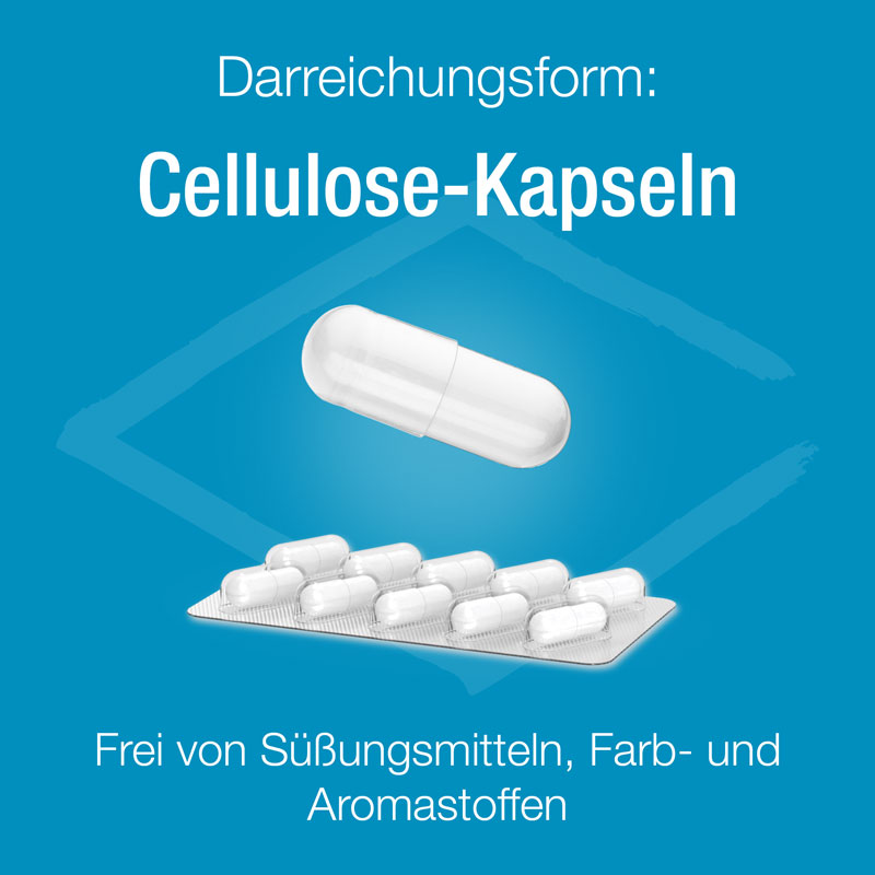 Magnesium Verla purKaps 60 St Kapseln