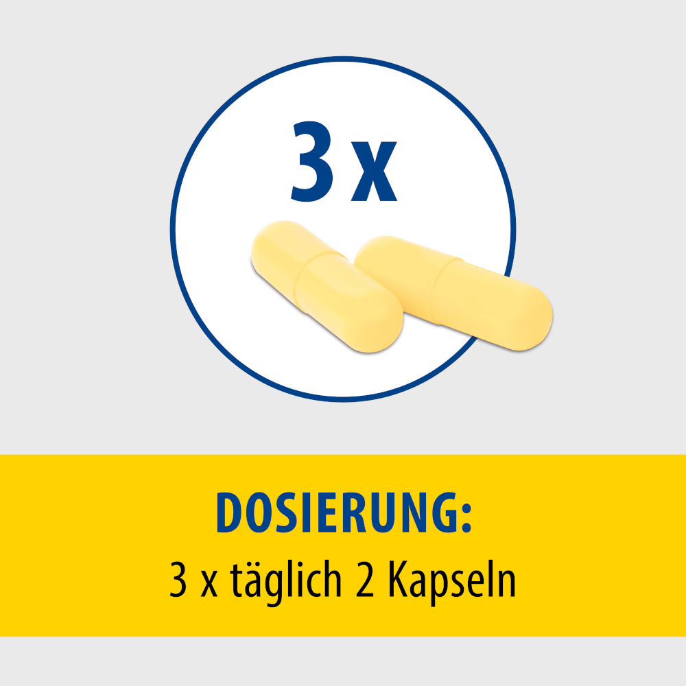 Pollstimol Hartkapseln 120 St Hartkapseln