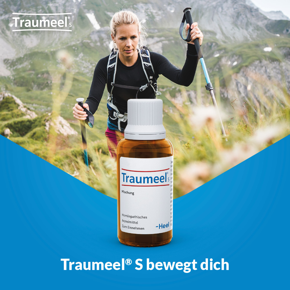 Traumeel S 100 ml Tropfen
