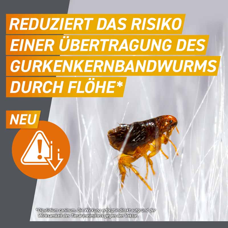 FRONTPRO Kautablette 3 Stk. gegen Zecken und Flöhe für Hunde (>4-10kg) 3 St Kautabletten