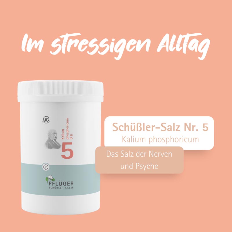 Schüßler-Salz Nr. 5 Kalium phosphoricum D6 4000 St Tabletten
