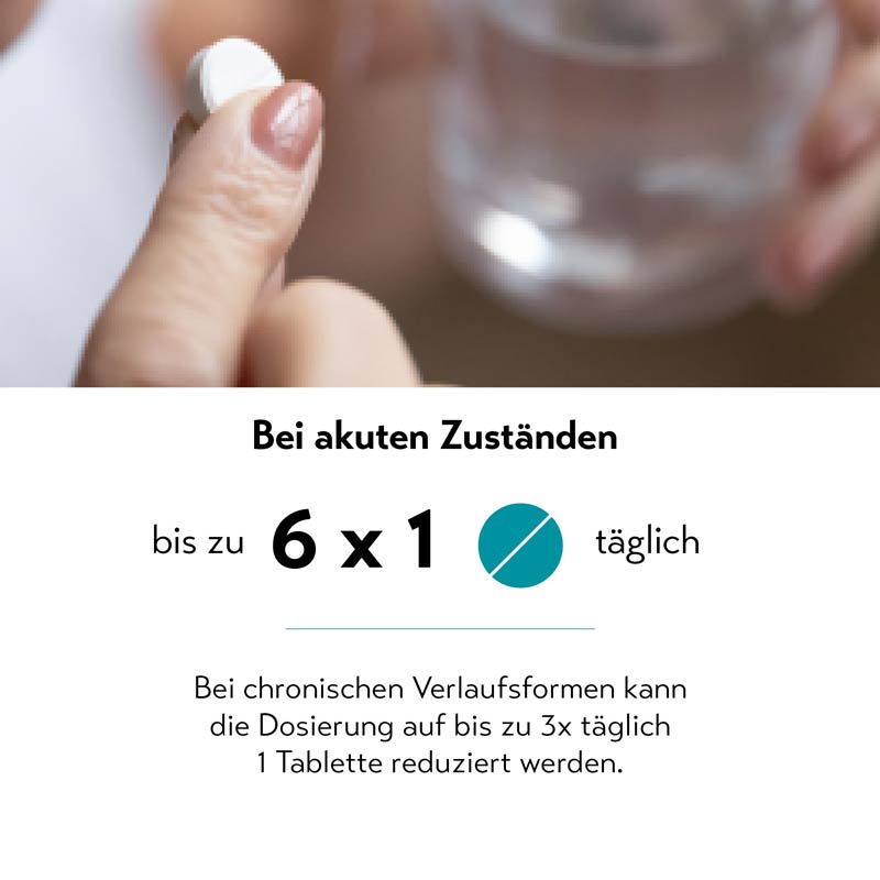 MELISTON Doppelpack 2X80 St Tabletten