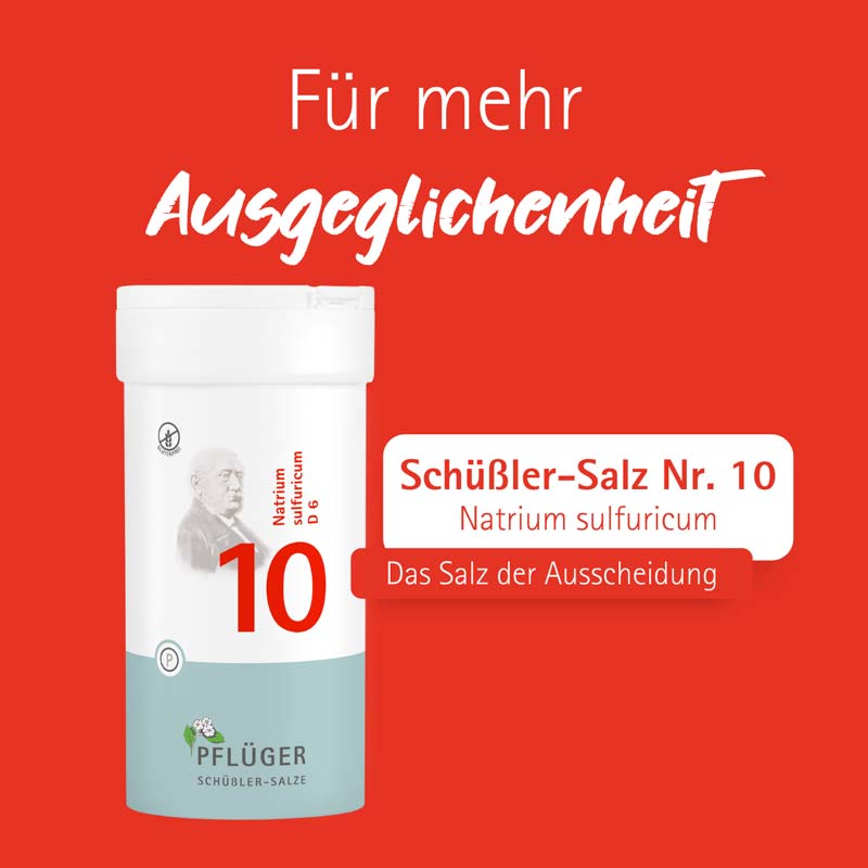 Schüßler-Salz Nr. 10 Natrium sulfuricum D6 400 St Tabletten