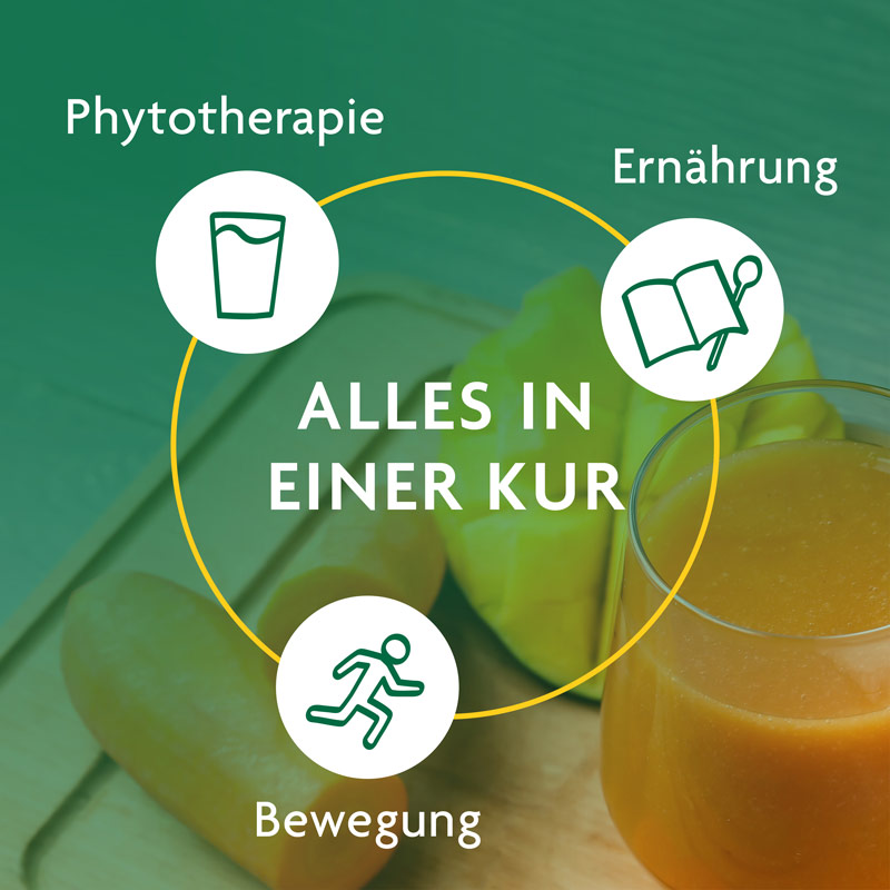Schoenenberger SCHLANKHEITS FÜR 10 TAGE Möhre-Mango 1 Packung Saft