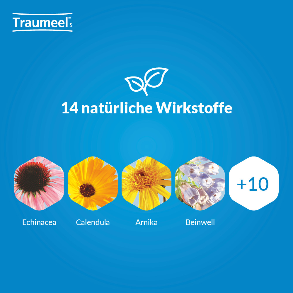 Traumeel S 100 ml Tropfen