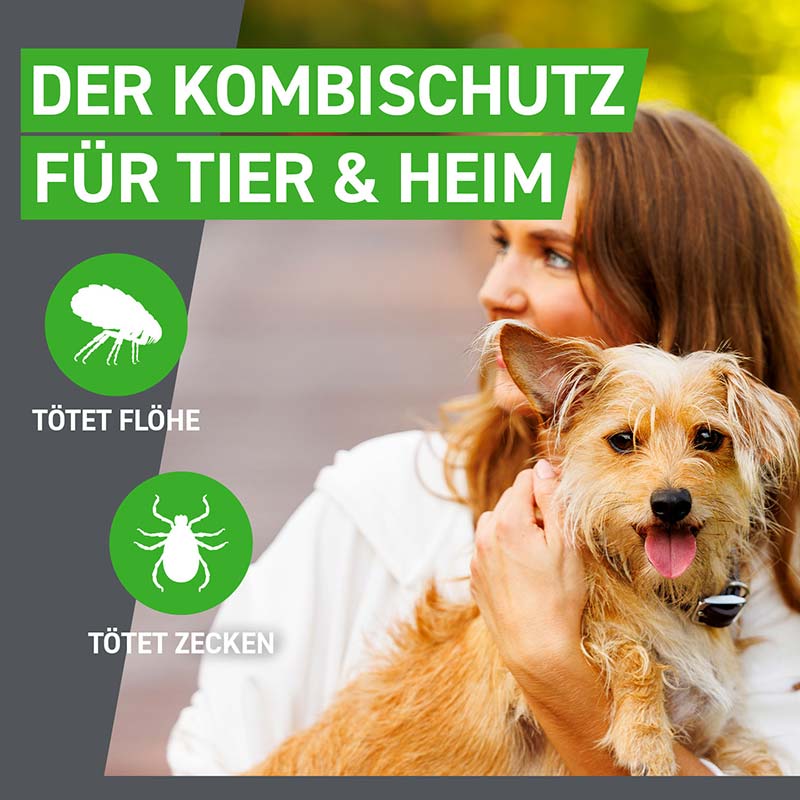 FRONTLINE COMBO gegen Zecken, Flöhe (Flöhe, Eier, Larven, Puppen) für Hunde L (20-40 Kg) 3 St Lösung